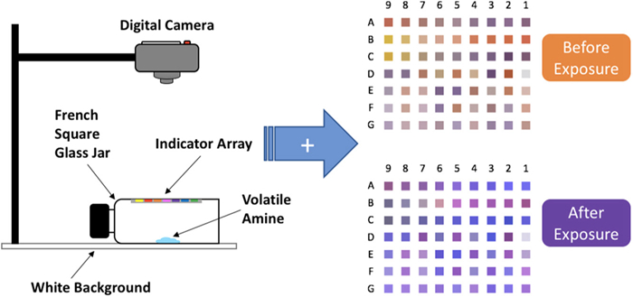 jfds15020-fig-0002-m_副本.jpg