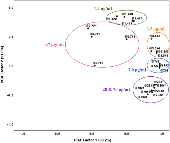 jfds15020-fig-0006-m_副本.jpg