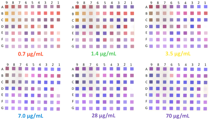 jfds15020-fig-0005-m_副本.jpg